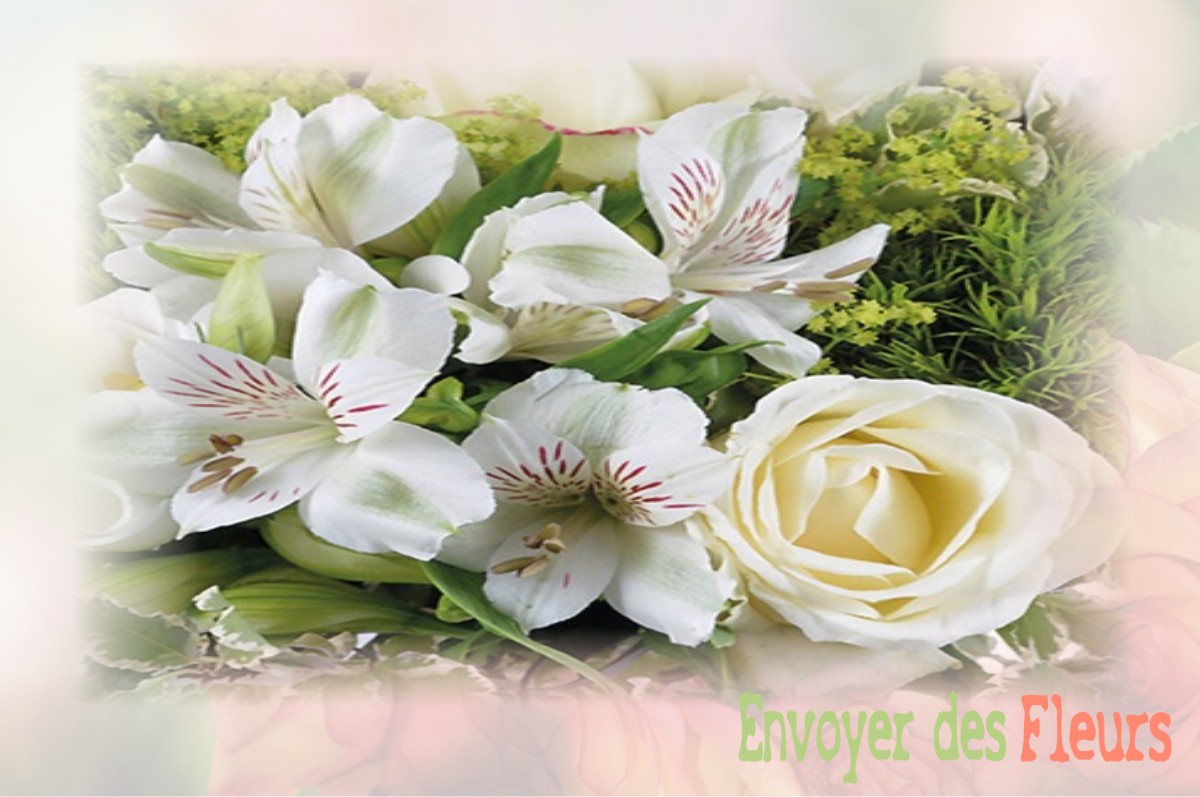 envoyer des fleurs à à SAINT-THOMAS-DE-COURCERIERS